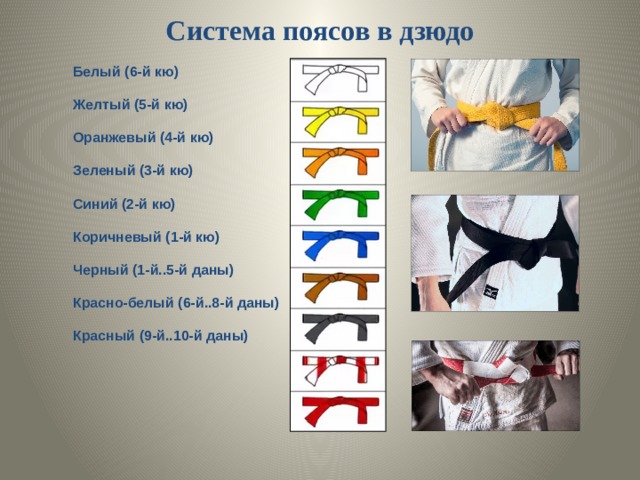 ММП проекта: ДЗЮДО