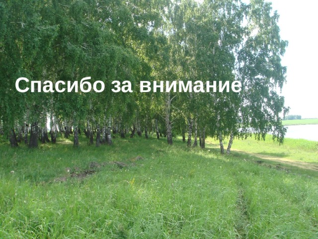 Спасибо за внимание 