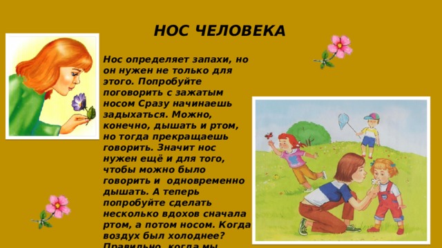 Человек запаху определяет. Наш нос различает время суток. Когда ребенок начинает распознавать запахи.