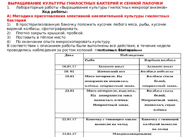  ВЫРАЩИВАНИЕ КУЛЬТУРЫ ГНИЛОСТНЫХ БАКТЕРИЙ И СЕННОЙ ПАЛОЧКИ 1.  Лабораторные работы «Выращивание культуры гнилостных микроорганизмов»  Ход работы: А) Методика приготовления элективной накопительной культуры гнилостных бактерий 1)  В простерилизованную баночку положить кусочек любого мяса, рыбы, кусочек вареной колбасы, сфотографировать. 2)  Плотно закрыть крышкой, пробкой. 3)  Поставить в тёплое место 4)  По окончании опыта микроскопировать культуру. В соответствии с описанием работы были выполнены все действия, в течение недели проводились наблюдения за ростом колоний гнилостных бактерий. 