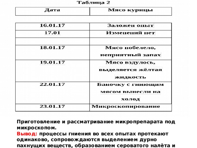 Приготовление и рассматривание микропрепарата под микроскопом. Вывод: процессы гниения во всех опытах протекают одинаково, сопровождаются выделением дурно пахнущих веществ, образованием сероватого налёта и жидкости. 