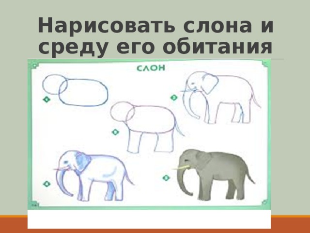 Нарисовать слона и среду его обитания 