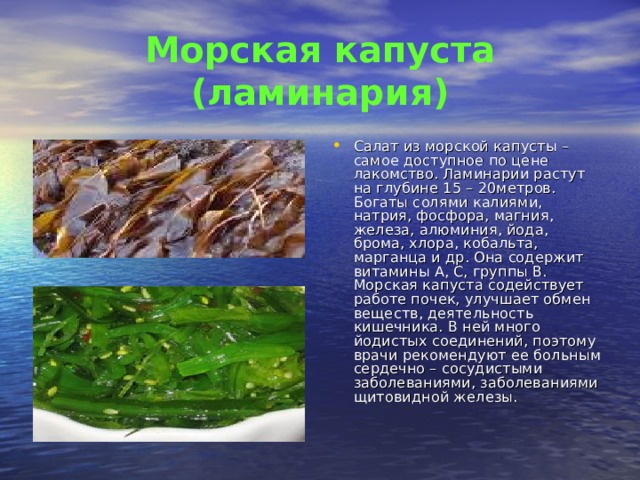 Морская капуста (ламинария) Салат из морской капусты – самое доступное по цене лакомство. Ламинарии растут на глубине 15 – 20метров. Богаты солями калиями, натрия, фосфора, магния, железа, алюминия, йода, брома, хлора, кобальта, марганца и др. Она содержит витамины А, С, группы В. Морская капуста содействует работе почек, улучшает обмен веществ, деятельность кишечника. В ней много йодистых соединений, поэтому врачи рекомендуют ее больным сердечно – сосудистыми заболеваниями, заболеваниями щитовидной железы. 