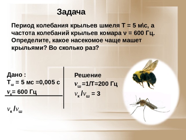 Задача Период колебания крыльев шмеля T = 5 м\с, а частота колебаний крыльев комара ν = 600 Гц. Определите, какое насекомое чаще машет крыльями? Во сколько раз? Дано : T ш  = 5 мс =0,005 c v к = 600 Гц  v к / v ш Решение v ш  =1/Т=200 Гц v к / v ш  = 3