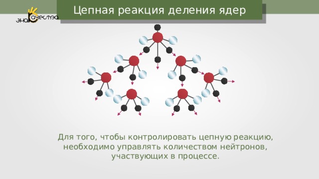 Цепная реакция деления ядер Для того, чтобы контролировать цепную реакцию, необходимо управлять количеством нейтронов, участвующих в процессе. 