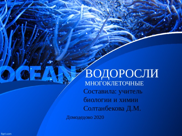 ВОДОРОСЛИ  МНОГОКЛЕТОЧНЫЕ Составила: учитель биологии и химии Солтанбекова Д.М. Домодедово 2020 