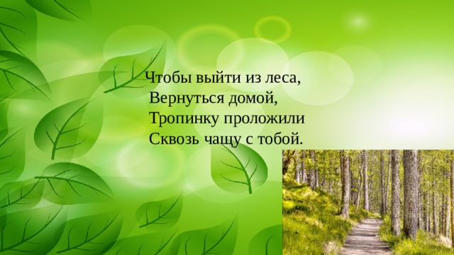 Чтобы выйти из леса,  Вернуться домой,  Тропинку проложили  Сквозь чащу с тобой. 