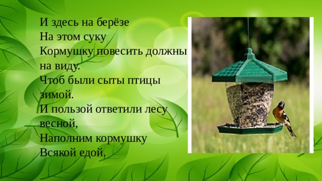 И здесь на берёзе На этом суку Кормушку повесить должны на виду. Чтоб были сыты птицы зимой. И пользой ответили лесу весной, Наполним кормушку Всякой едой.   