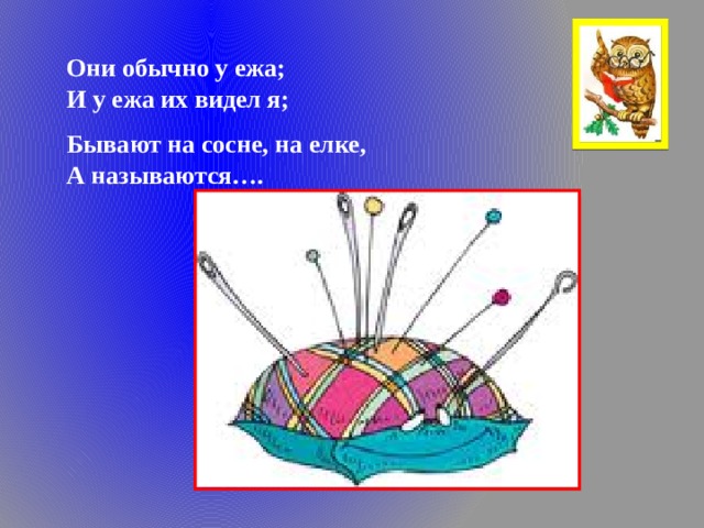 Они обычно у ежа; И у ежа их видел я; Бывают на сосне, на елке, А называются…. 