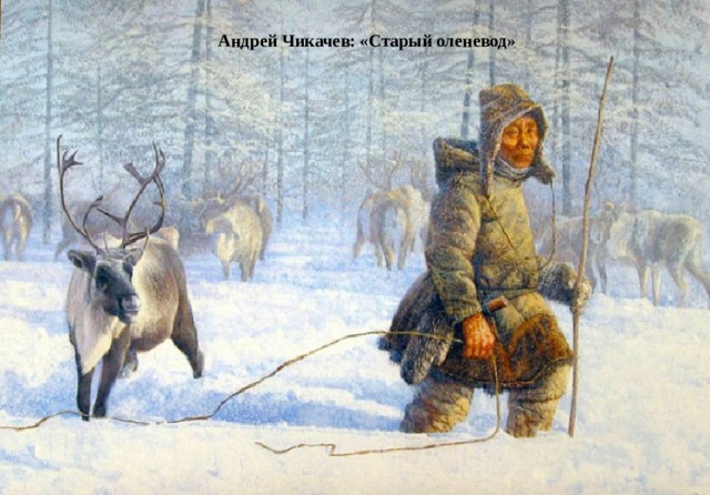 Андрей Чикачев: «Старый оленевод»