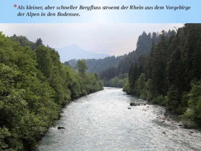 Als kleiner, aber schneller Bergfluss stroemt der Rhein aus dem Vorgebirge der Alpen in den Bodensee. 