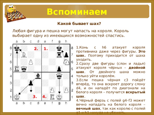 Шахматы - физкультура