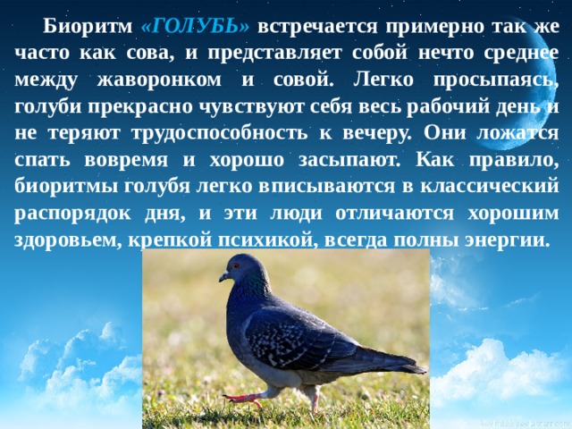 Презентация сны и сновидения скачать. img13. Презентация сны и сновидения скачать фото. Презентация сны и сновидения скачать-img13. картинка Презентация сны и сновидения скачать. картинка img13. Биологический ритм сна связан со сменой дня и ночи