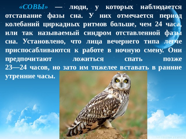  «СОВЫ» — люди, у которых наблюдается отставание фазы сна. У них отмечается период колебаний циркадных ритмов больше, чем 24 часа, или так называемый синдром отставленной фазы сна. Установлено, что лица вечернего типа легче приспосабливаются к работе в ночную смену. Они предпочитают ложиться спать позже  23—24 часов, но зато им тяжелее вставать в ранние утренние часы.    