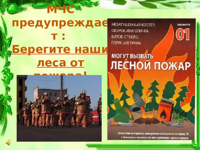 МЧС предупреждает :  Берегите наши леса от пожара! 