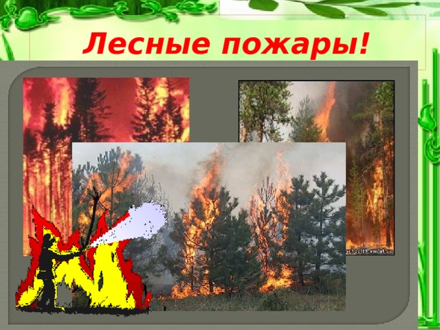 Лесные пожары! 