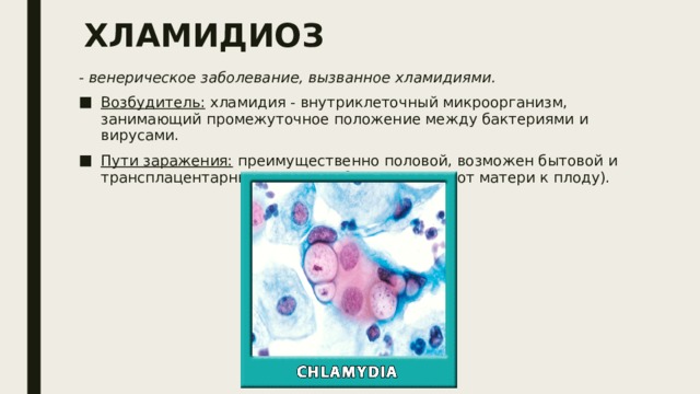Хламидия в организме. Урогенетический хламидиоз. Хламидиоз внешние проявления. Заболевания вызываемые хламидиями.