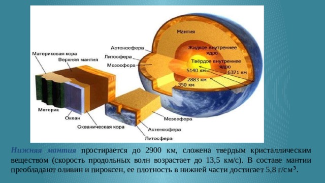 Нижняя  мантия  простирается до 2900 км, сложена твердым кристаллическим веществом (скорость продольных волн возрастает до 13,5 км/с). В составе мантии преобладают оливин и пироксен, ее плотность в нижней части достигает 5,8 г/см ³. 
