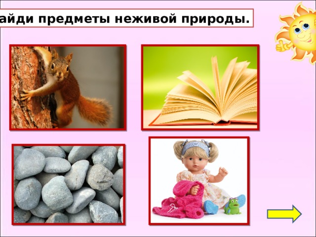 Презентация живая неживая природа средняя группа