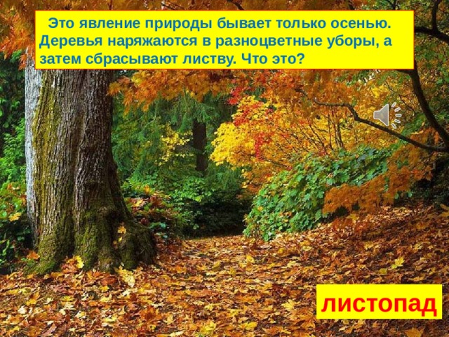  Это явление природы бывает только осенью. Деревья наряжаются в разноцветные уборы, а затем сбрасывают листву. Что это? листопад 