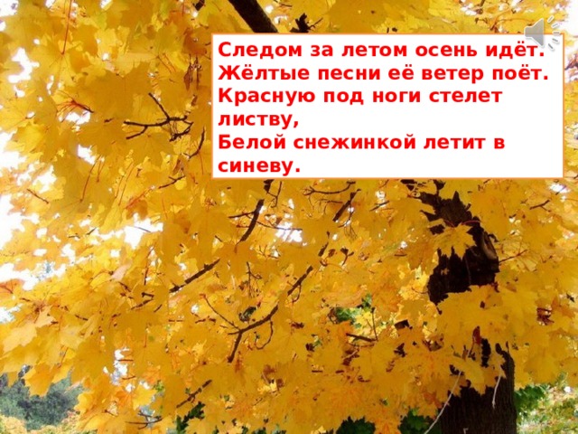 Следом за летом осень идёт. Жёлтые песни её ветер поёт. Красную под ноги стелет листву, Белой снежинкой летит в синеву. 