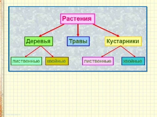 Презентация какие бывают растения 2 класс