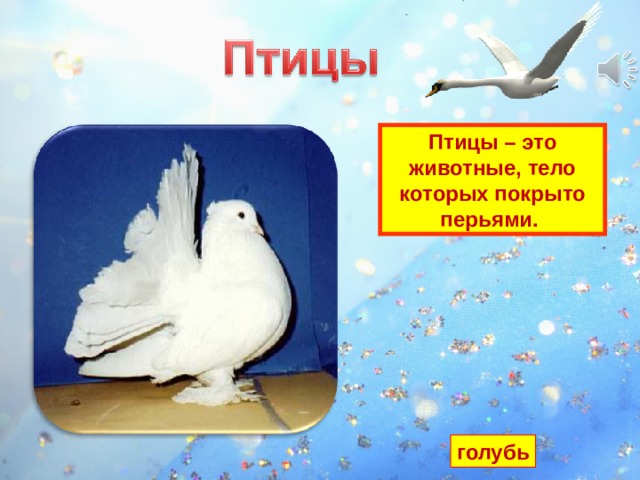 Птицы – это животные, тело которых покрыто перьями. Птицы – это животные, тело которых покрыто перьями. На земле насчитывается около 9 тысяч видов птиц. Есть птицы очень большие, а есть очень маленькие. Одни летают выше облаков, а другие и вовсе не летают. голубь 