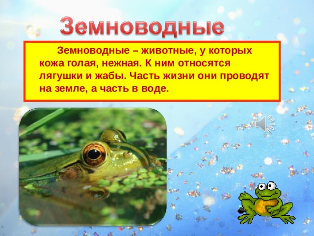  Земноводные – животные, у которых кожа голая, нежная. К ним относятся лягушки и жабы. Часть жизни они проводят на земле, а часть в воде. 
