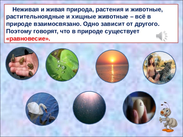 Невидимые нити в весеннем лесу презентация