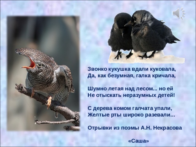 Слышно было как над полем пел жаворонок и как вдали куковала кукушка схема предложения