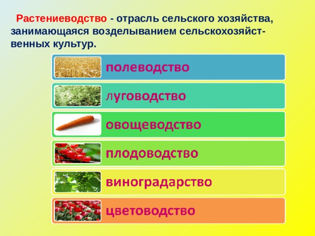 Дайте характеристику отрасли растениеводства по выбору по плану значение