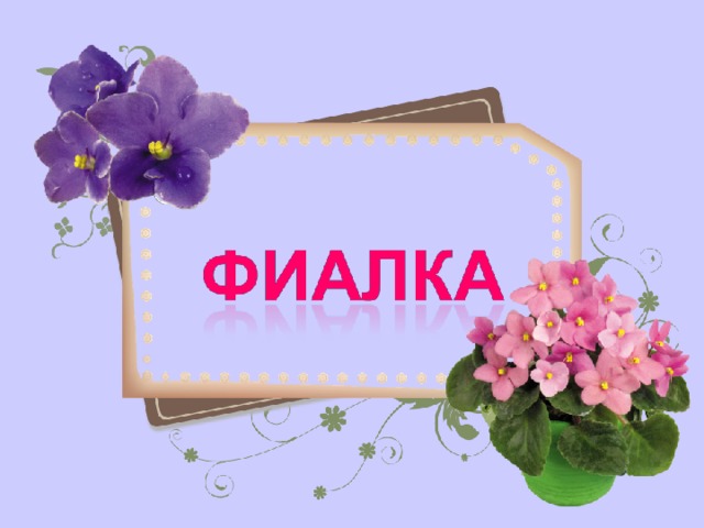 Фон для презентации фиалка