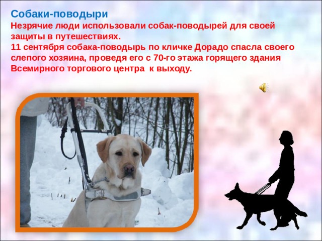 Презентация про собак поводырей