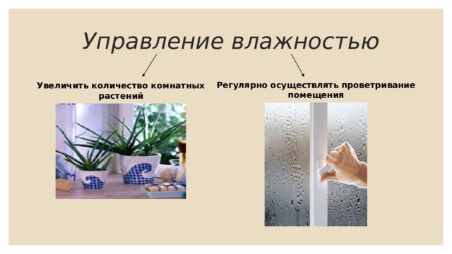 Презентация по физике "Влажность"