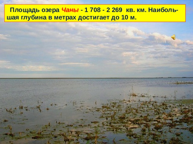  Площадь озера Чаны - 1 708 - 2 269 кв. км. Наиболь-шая глубина в метрах достигает до 10 м. 