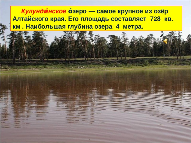  Кулунди́нское о́зеро — самое крупное из озёр Алтайского края. Его площадь составляет 728 кв. км . Наибольшая глубина озера 4 метра. 