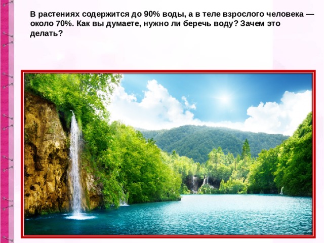 В растениях содержится до 90% воды, а в теле взрослого человека — около 70%. Как вы думаете, нужно ли беречь воду? Зачем это делать? 