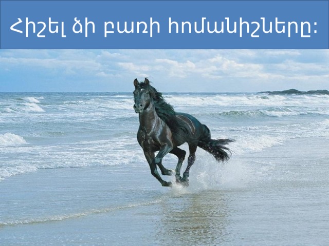 Հիշել ձի բառի հոմանիշները: 