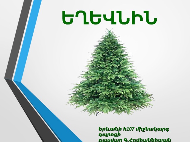 Երևանի հ107 միջնակարգ դպրոցի դասվար Գ․Հովհաննիսյան 