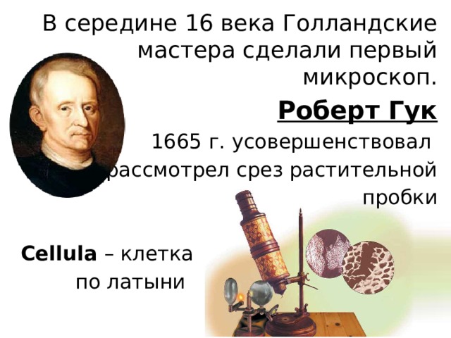 В середине 16 века Голландские мастера сделали первый микроскоп. Роберт Гук 1665 г. усовершенствовал и рассмотрел срез растительной пробки Cellula – клетка   по латыни 