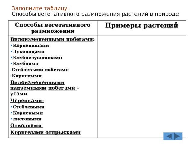 Заполните таблицу:   Способы вегетативного размножения растений в природе Способы вегетативного размножения Примеры растений Видоизмененными побегами : Корневищами Луковицами Клубнелуковицами Клубнями Стеблевыми побегами Корневыми Видоизмененными надземными  побегами – усами Черенками:  Стеблевыми Корневыми листовыми Отводками Корневыми отпрысками 