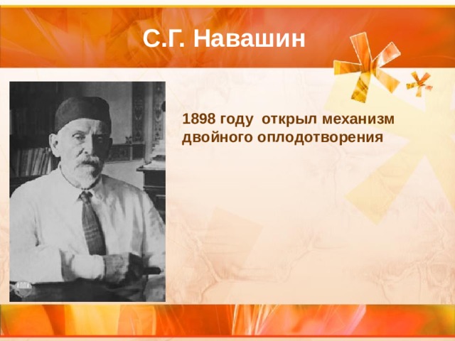 С.Г. Навашин 1898 году открыл механизм двойного оплодотворения 