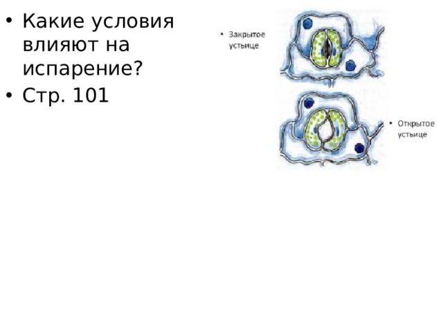 Какие условия влияют на испарение? Стр. 101 