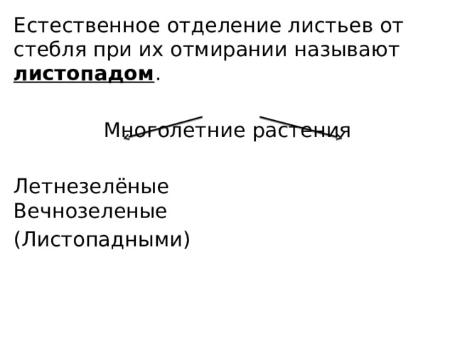 Естественное отделение листьев от стебля при их отмирании называют листопадом . Многолетние растения Летнезелёные      Вечнозеленые (Листопадными) 