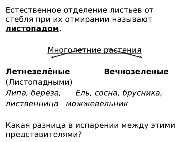 Естественное отделение листьев от стебля при их отмирании называют листопадом . Многолетние растения Летнезелёные       Вечнозеленые (Листопадными) Липа, берёза,    Ель, сосна, брусника, лиственница     можжевельник  Какая разница в испарении между этими представителями? 
