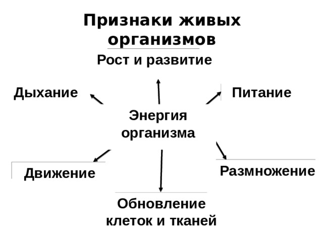 Свойства живых организмов в природе