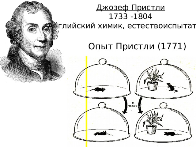 Опыт изображенный на рисунке был осуществлен английским химиком джозефом пристли