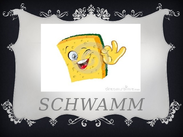 Der schwamm 