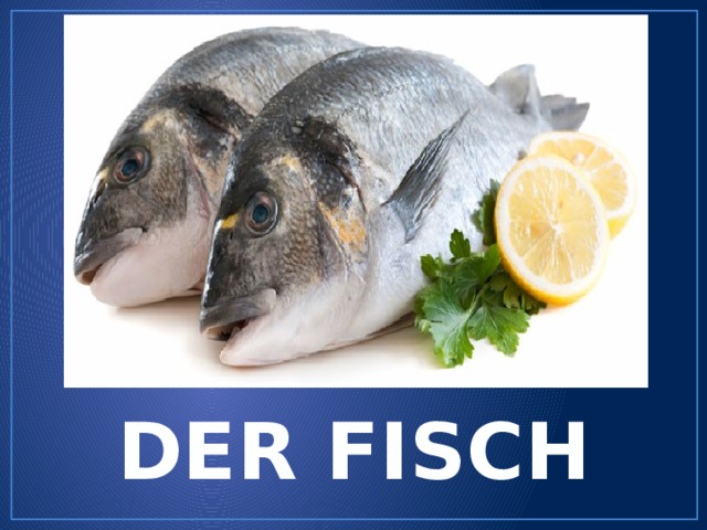 DER FISCH 