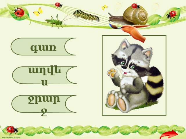 գառ աղվես ջրարջ 